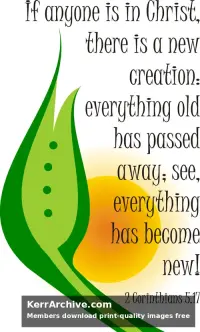 Year B After Pentecost Proper 6