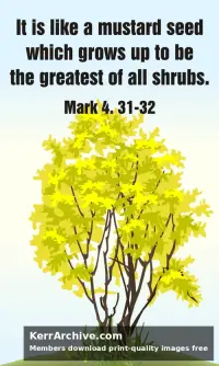 Year B After Pentecost Proper 6