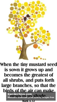 Year B After Pentecost Proper 6 — Mark 4:32