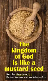 Year B After Pentecost Proper 6 — Mark 4:31