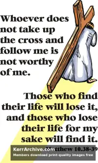 Year A After Pentecost Proper 7