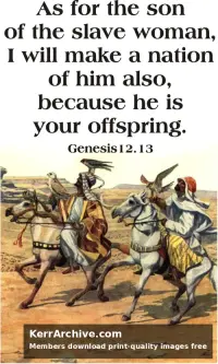 Year A After Pentecost Proper 7