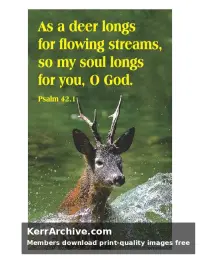 Year C After Pentecost Proper 7 — Psalms 42:1