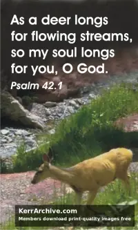 Year C After Pentecost Proper 7