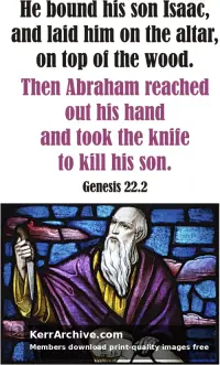 Year A After Pentecost Proper 8
