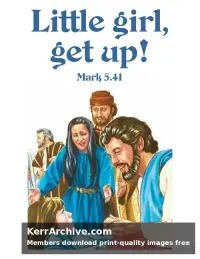 Year B After Pentecost Proper 8