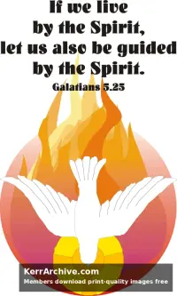 Year C After Pentecost Proper 8