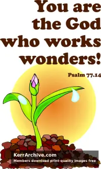 Year C After Pentecost Proper 8
