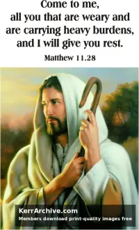 Year A After Pentecost Proper 9