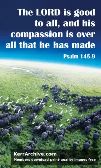 Year A After Pentecost Proper 9 — Psalms 145:9