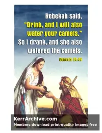 After Pentecost Proper 9A7ot — Genesis 24:46