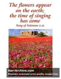 Year A After Pentecost Proper 9 — The Song of Solomon 2:12