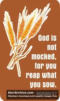 Year C After Pentecost Proper 9
