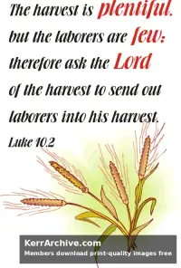 Year C After Pentecost Proper 9