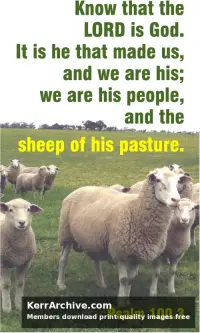 Year A After Pentecost Reign of Christ (Proper 29)