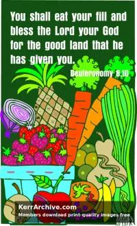 Year A After Pentecost Thanksgiving Day (USA)